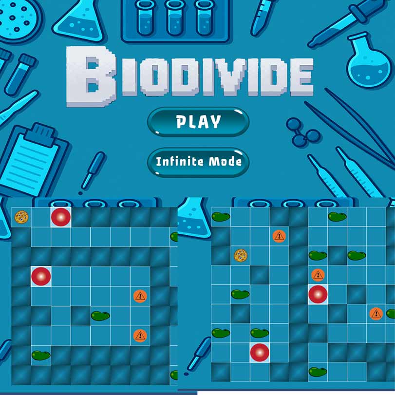 Divide Puzzle